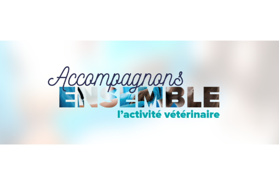 Partenariat Activité Vétérinaire – MSD Santé Animale Slogan « Accompagnons ENSEMBLE l’activité vétérinaire » avec un visuel de soins cliniques apparaissant dans les lettres.