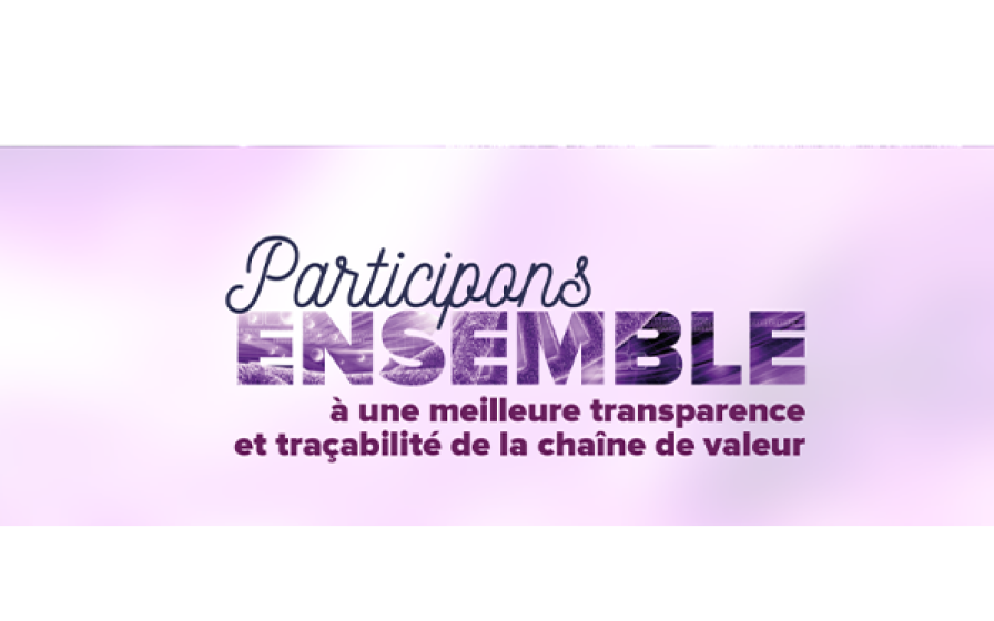 Transparence et Traçabilité – MSD Santé Animale Slogan « Participons ENSEMBLE à une meilleure transparence et traçabilité de la chaîne de valeur » sur fond mauve.