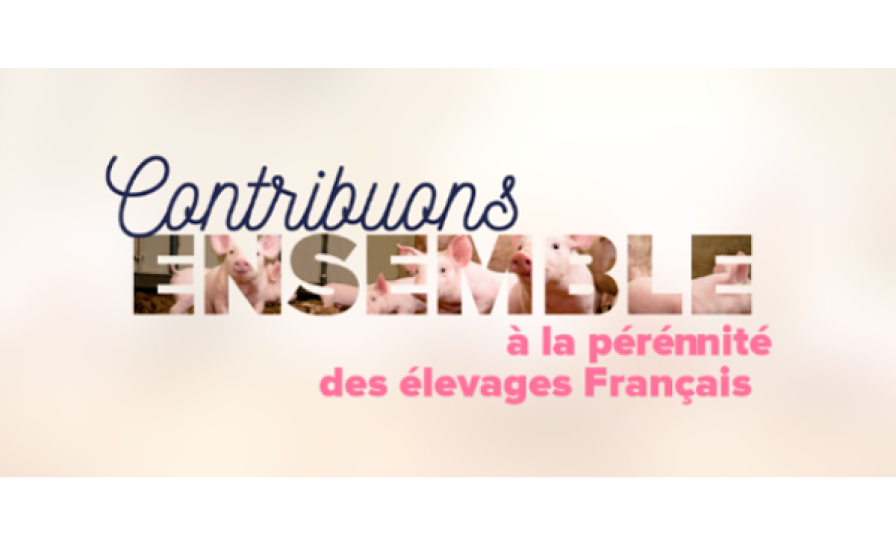 Soutien aux Élevages Français – MSD Santé Animale Slogan « Contribuons ENSEMBLE à la pérennité des élevages Français » avec des visuels de porcelets dans les lettres.