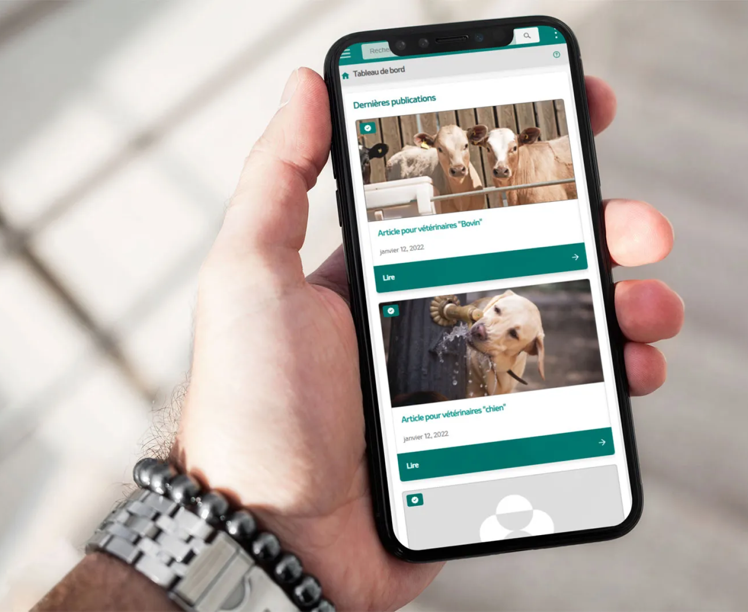 Main tenant un smartphone affichant le portail client mobile de MSD Santé Animale avec des articles pour vétérinaires.