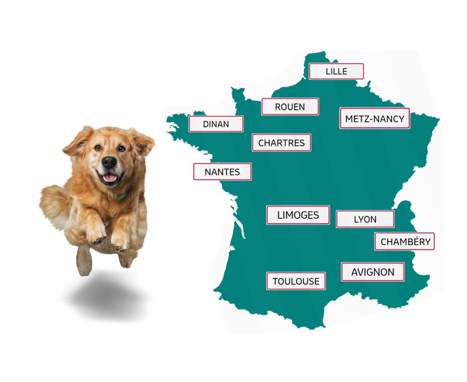 Illustration montrant un chien doré qui saute à côté d'une carte de France avec plusieurs noms de villes.