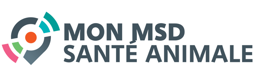 Groupe de collaborateurs de MSD Santé Animale posant de manière conviviale dans un bureau moderne et design.