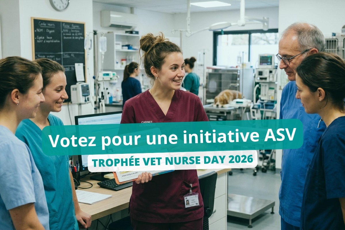 Trophée Vet Nurse Day 2026 : à vos votes !