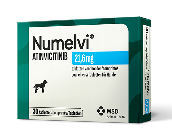 NUMELVI 21.6MG comprimés pour chien
