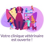 Les cliniques vétérinaires restent ouvertes