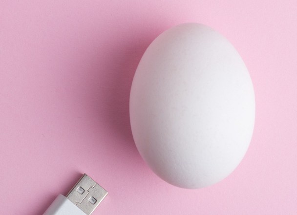 L’innovation technologique au service de l’élevage avicole