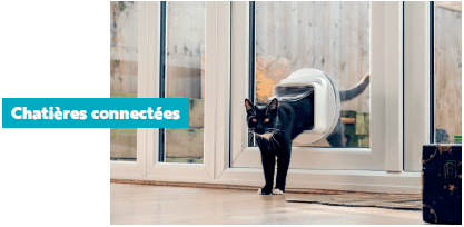 Sure Petcare, pour améliorer la qualité de vie des animaux de compagnie