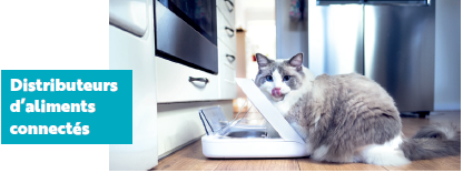 Distributeur Connect chat Sure Petcare