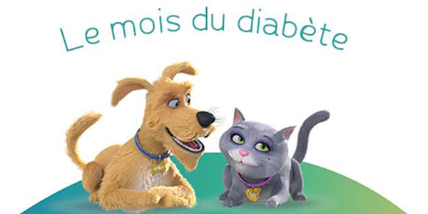 Novembre : le mois du diabète animal