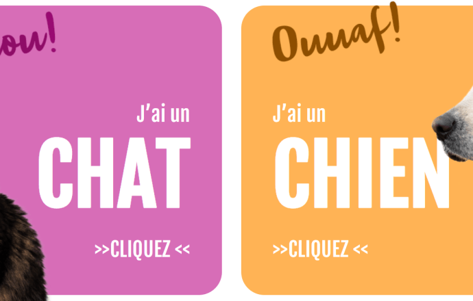 La santé de mon chien, La santé de mon chat : des sites d’informations fiables, validés par des experts vétérinaires