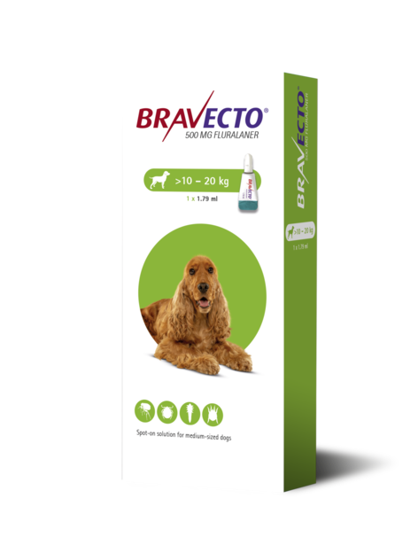 Bravecto 500 mg Chien 10 à 20 kg Boîte de 2