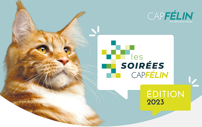 CAP FÉLIN : MSD Santé Animale, le partenaire de choix pour la prise en charge du chat