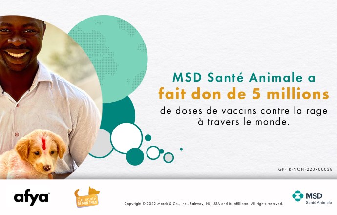 Un cap important pour MSD Santé Animale et son programme Afya : déjà plus de 5 millions de doses de vaccins données !