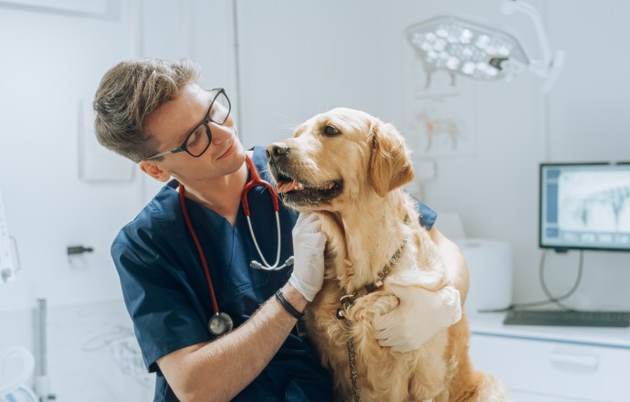 MSD Santé Animale organise un symposium mondial de formation continue sur la vaccination des animaux de compagnie