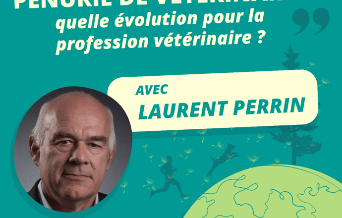 Comment résoudre la pénurie de vétérinaires ?