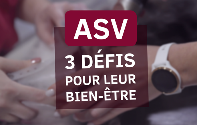 3 défis à relever pour le bien-être de vos ASV