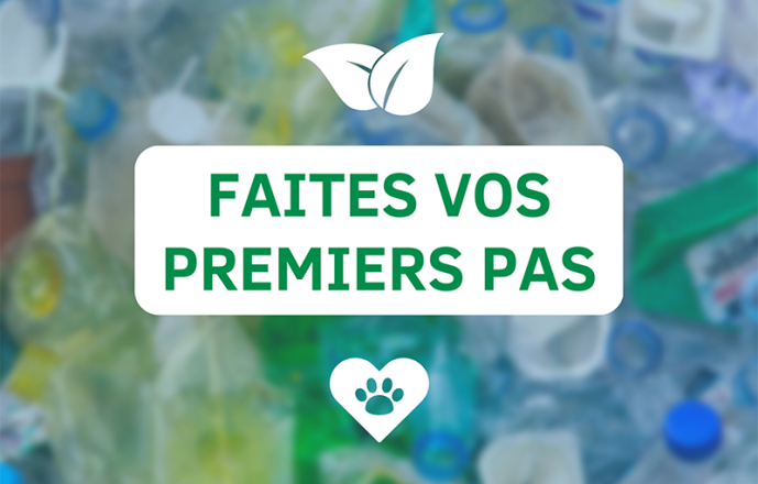 4 initiatives pour une clinique vétérinaire éco-responsable